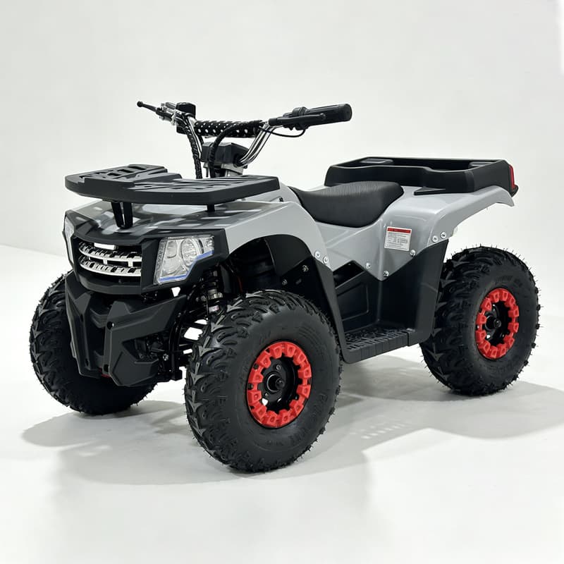 Epa Beach Vehicle ATV Lead-Acid Battery All-Terrain Vehicle Four-Wheel Electric Vehicle 36V800W Electric All-Terrain Vehicle
