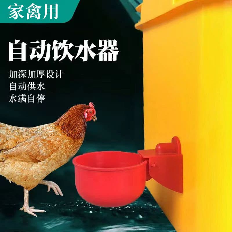 Automatic waterers for chickens, ducks, and geese; chicken farming equipment; water bowls for feeding pigeons; bird drinkers; water troughs for quails and chickens.
