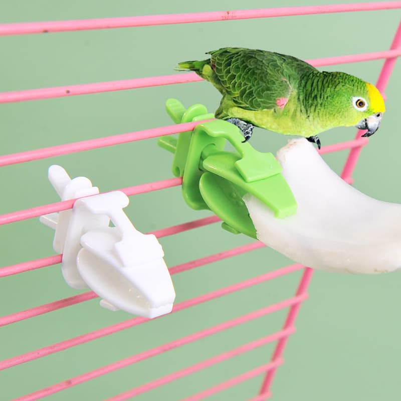 Parrot fruit fork, vegetable clip, snack fruit clip, bird cage, multi-functional pet bird supplies food clip