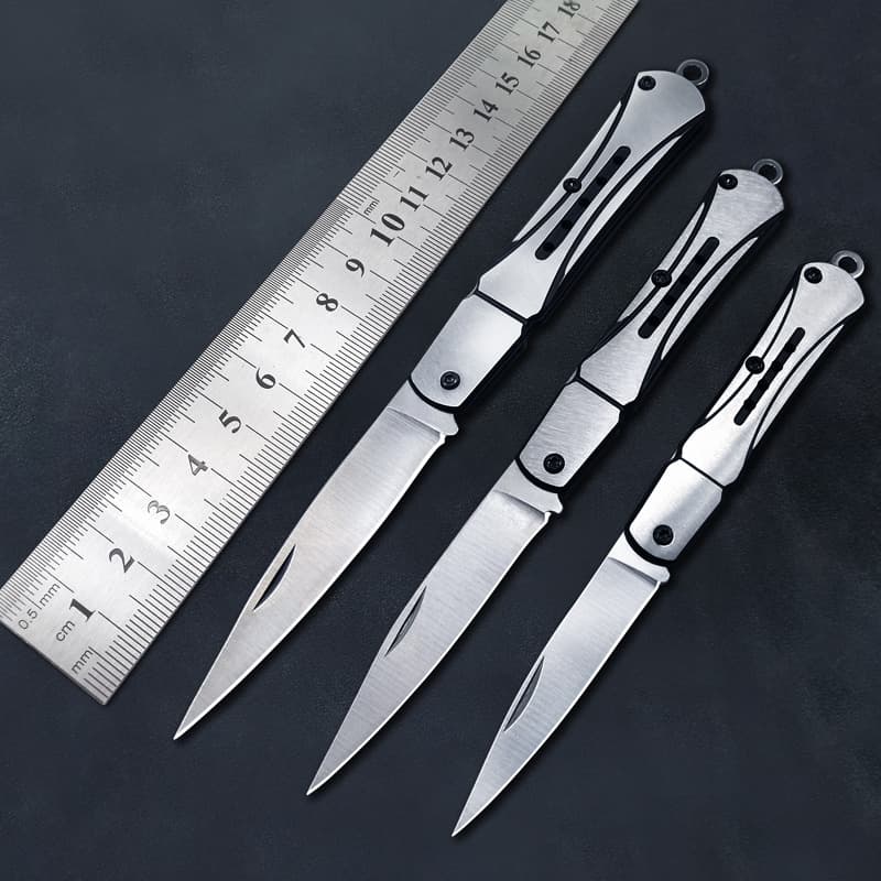 Mini Fruit Knife EDC Pocket Knife Stainless Steel Outdoor Utility Folding Knife for Home and Package Opening