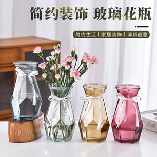 Wholesale Colored Vase, Transparent Geometric Glass Flower Arrangement, Home Water-Cultured Creative Craft Dried Flower Vase, European Style
