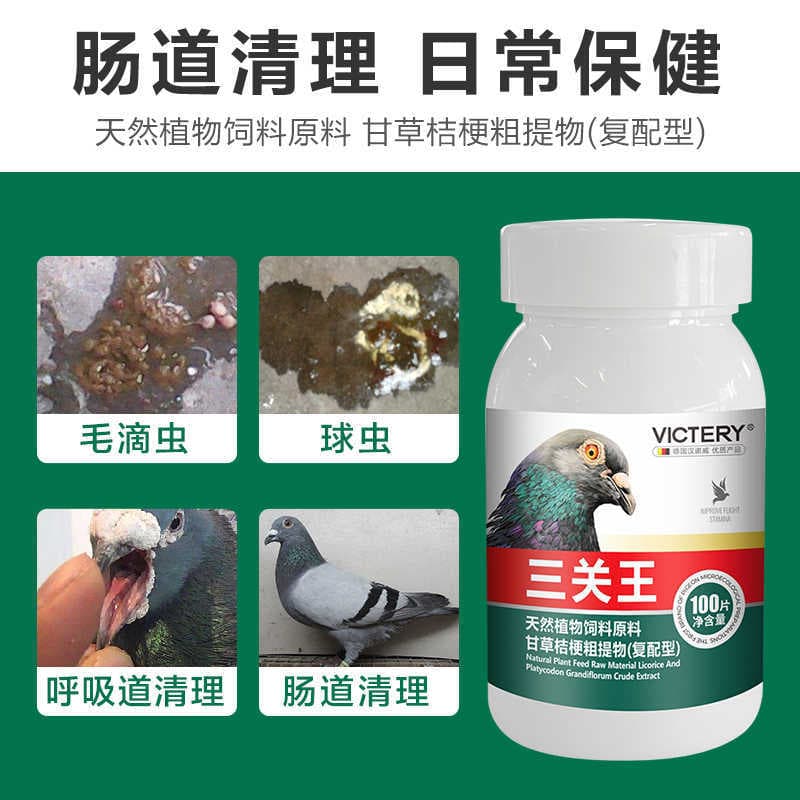Three-In-One Pigeon Medicine for Trichomoniasis, Coccidiosis, Respiratory and Intestinal Infections, Salmonella, and Diarrhea, Specifically for Racing Pigeons