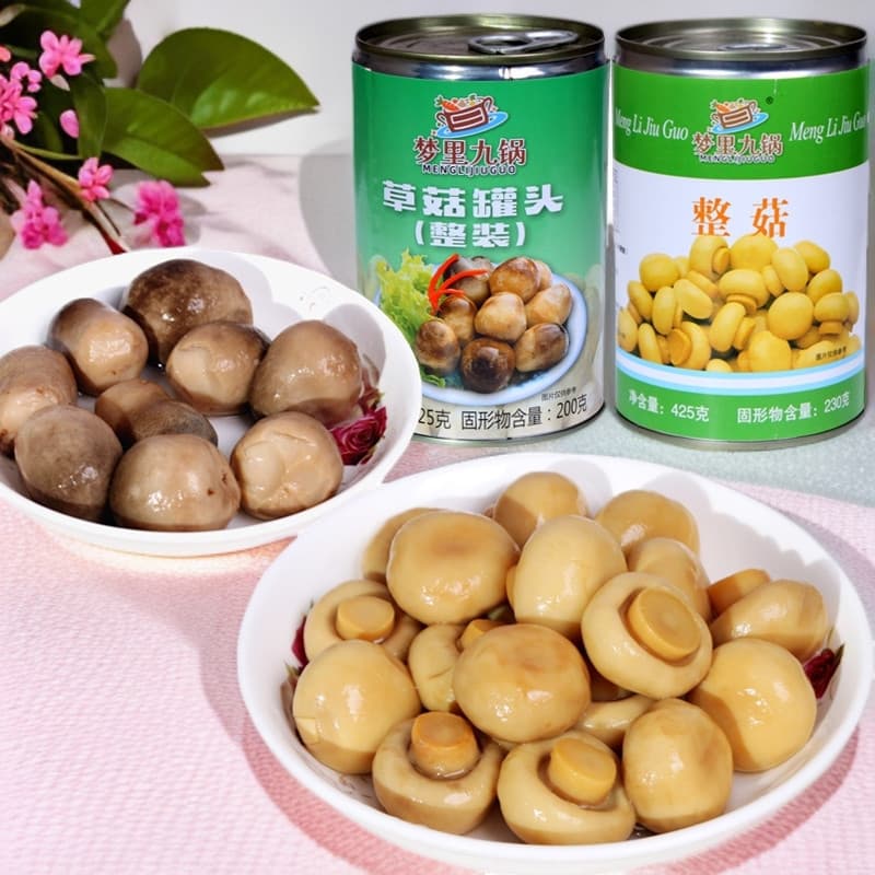 Old-fashioned export-grade fresh canned mushrooms and straw mushrooms, 425g, cooking ingredients for stir-fries and soups, suitable for home and commercial use.