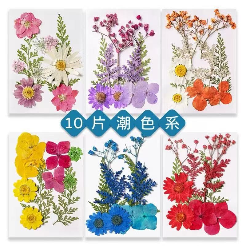Flower and grass mixed handmade DIY embossed material package for children, handmade glue face decal photo frame table lamp embossed dried flower
