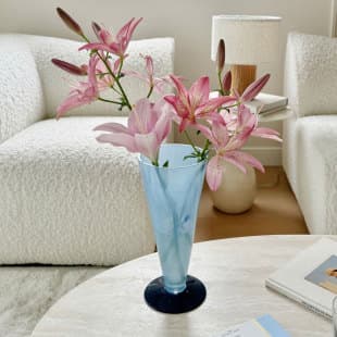Simple Glass Vase for Flower Arrangement Decor, Light Luxury Premium Style, Niche Water Cultivation Fresh Flower Vase, Glass Flower Vessel
