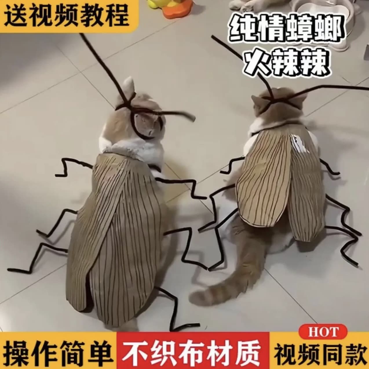 Creative DIY No-Weave Fabric Cat Vest Kit with Twisted Sticks Handmade Funny Props Pure Love Cockroach Hot Cat Clothes