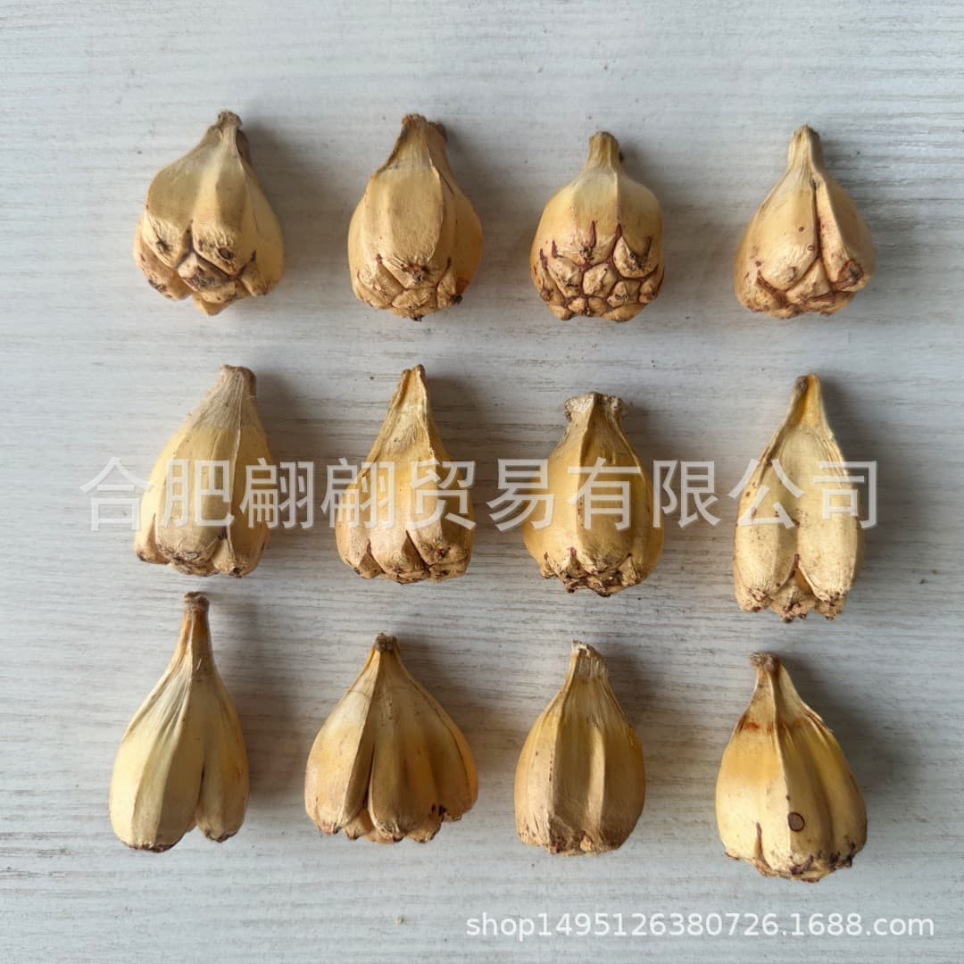 Parrot Toy Bird Toy Parrot Chewing Fruit Boredom Relief Beak Grinding Pineapple DIY Accessories Home Decoration