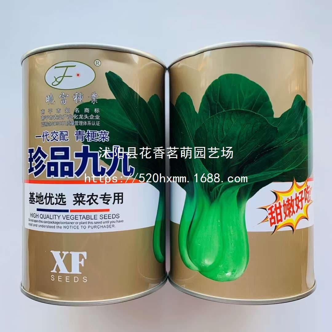 Premium Four Seasons Green Vegetable Seeds - Black Vegetable Seeds Suitable for Large-Scale Planting in South and North, Four Seasons Small Green Vegetable Seeds Wholesale