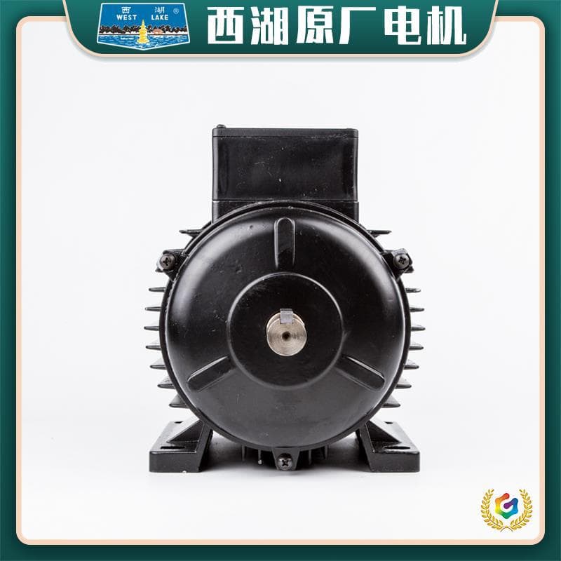 ✅ Hangzhou West Lake bench drill original motor YS7114 7124 7134 8024T 6312 YC7112 Madi