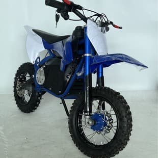 Electric Kids Off-Road Motorcycle Two-Wheel 36V 500W 10-Inch Electric Mountain Bike Trendy Kids Model