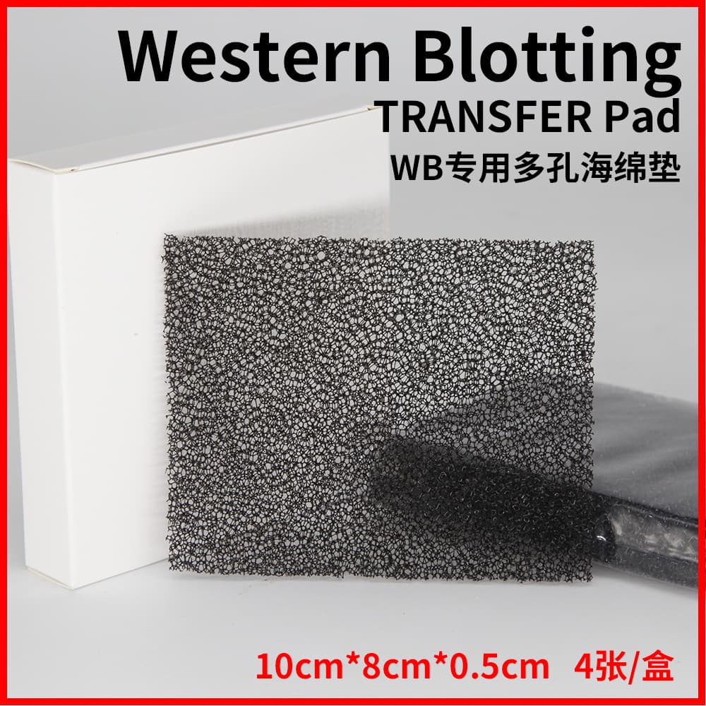 Electrotransfer Sponge Pad WB Blotting Porous Protein Transfer Black Sandwich Clamp Porous Experiment Western Blot