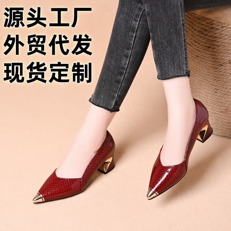 Pointed Toe Shallow Mouth Mid-Heel Women's Shoes High Heel Chunky Heel Dress Shoes 2026 Early Spring Shoes In Stock Ships in 1 Day