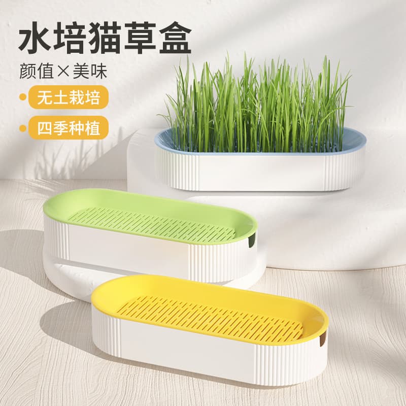 New Hydroponic Cat Grass Box Cat Snack Catnip Soilless Planting Cat Grass Pot Set Cat Grass Box Wholesale