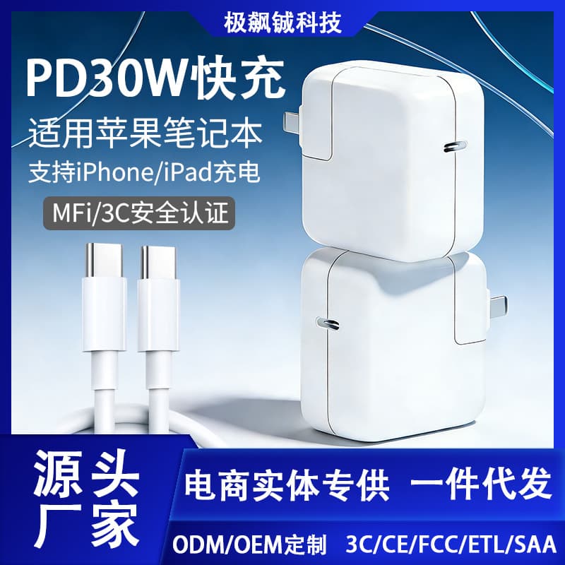 PD30W Charger Compatible with iPhone 17/iPad/MacBook USB-C Power Adapter A1534 A1932