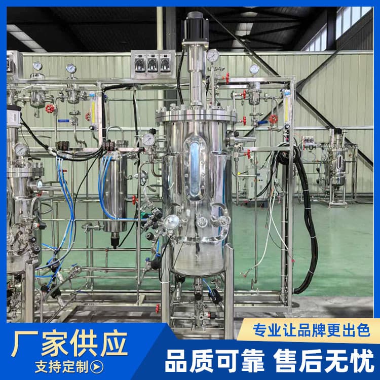 Laboratory Bioreactors 10-50L Specialized Fermenters for Research Institutes Strain Propagation Tanks Produced by Ruisheng