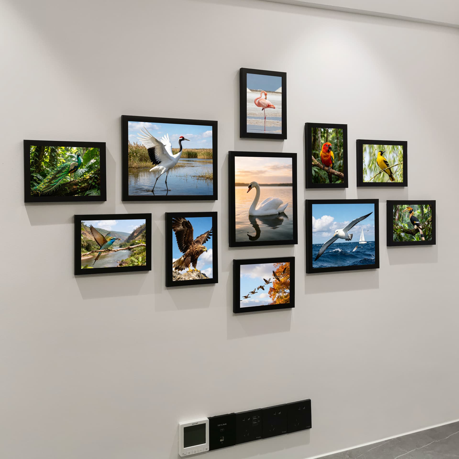 New wild bird theme photo frame photo wall rare bird poster hanging painting living room bedroom wall decoration