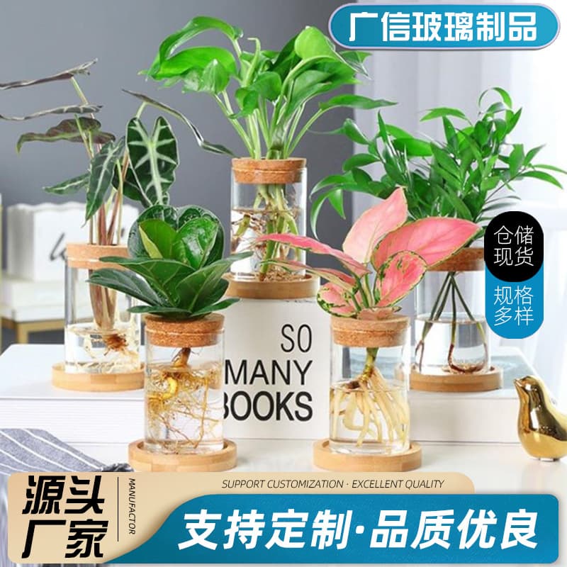 High borosilicate glass micro landscape succulent vases, various specifications available, office decorations, hydroponic plant landscape bottles