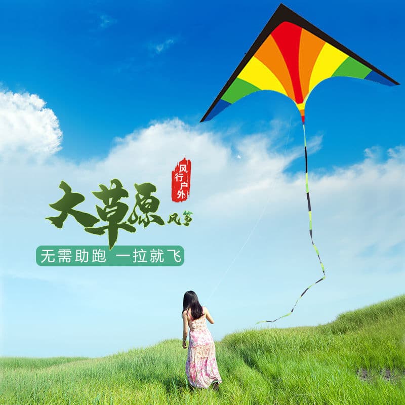 Kite Prairie 2022 New Adult Kite Light Wind Easy Fly Large Independent Stand