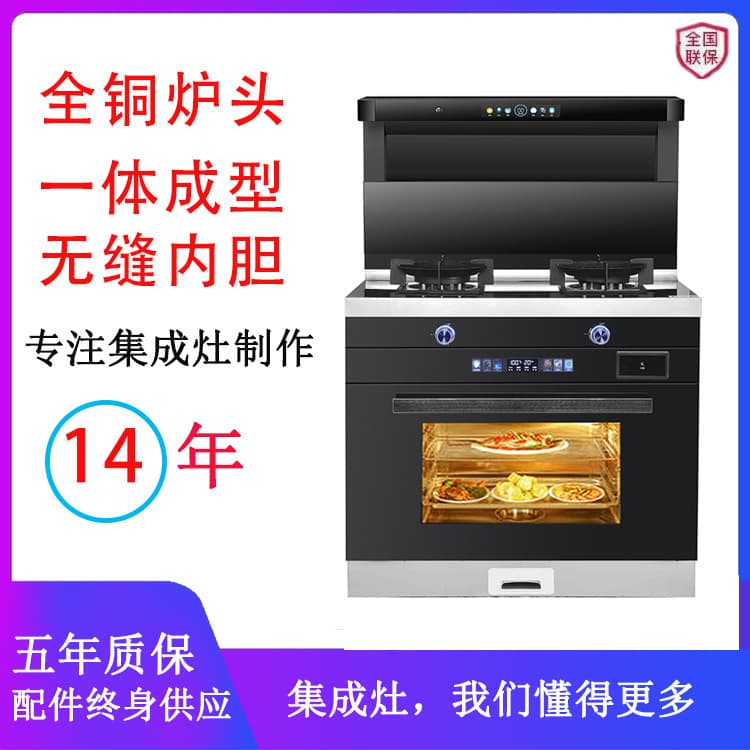 Multi-functional Integrated Stove with Oven, Range Hood, and Gas Stove
