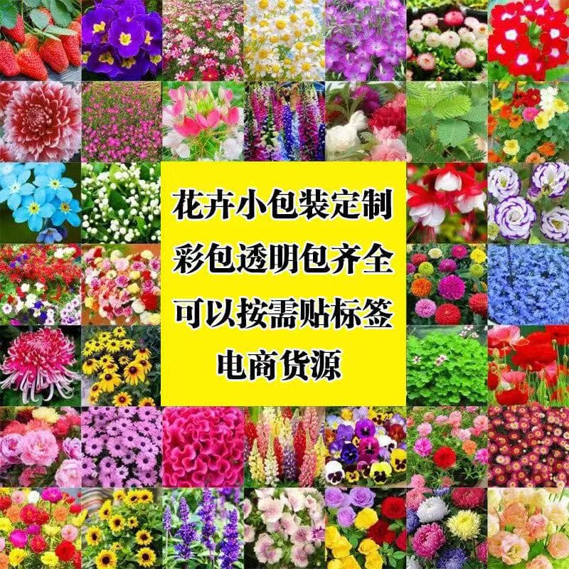 Wholesale Home Gardening Flower Seeds Small Package Pyrethrum Cornflower Seeds Balloon Flower Bowl Lotus Sunflower E-commerce Supply
