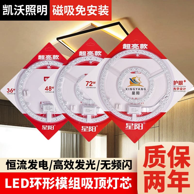 LED Ceiling Light Module Lamp Core Full Spectrum OEM Customization Cross-border Hot Selling Magnetic Light Disk Light Source