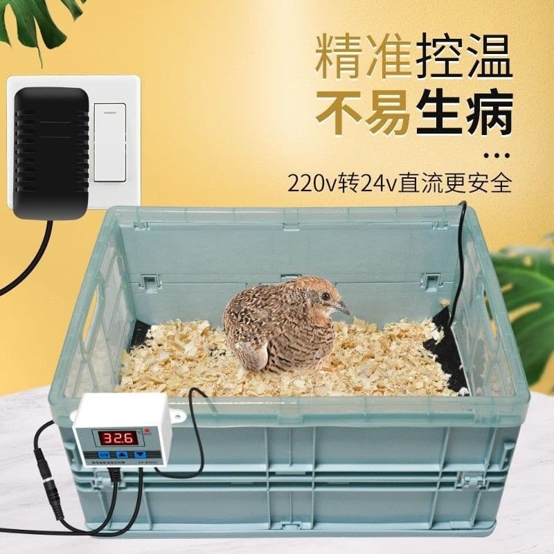 Chick Brooder Box Automatic Temperature Control Constant Heat Lamp for Birds, Chickens, Ducks, Geese, Quail Farming Equipment Insulated Box