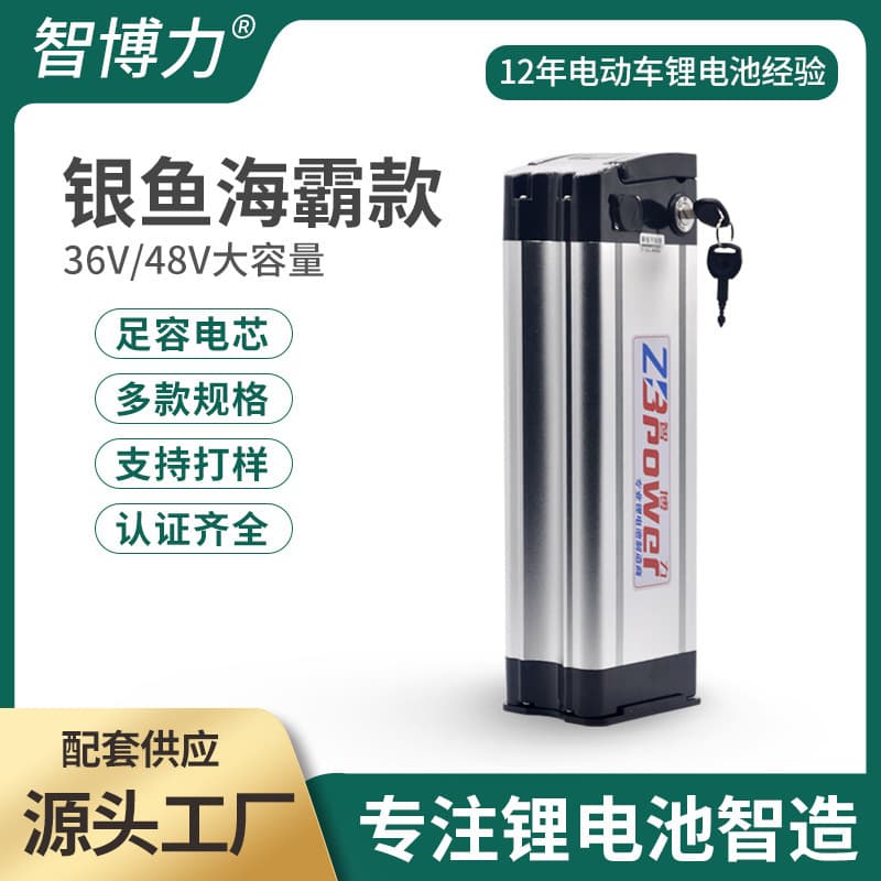 Factory Direct 48V 20Ah Electric Bike Haiba Silver Fish Lithium Battery Delivery Driver Folding Bicycle Battery Pack