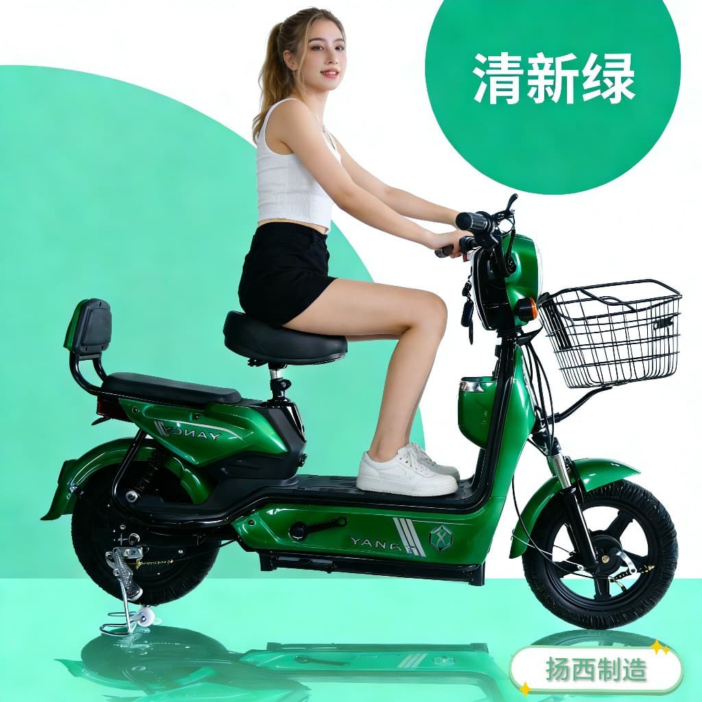 Export Electric Bicycle Direct Sales Power-Assist Bike Two-Wheeled Electric Scooter Adult Battery Bike Electric Motorcycle
