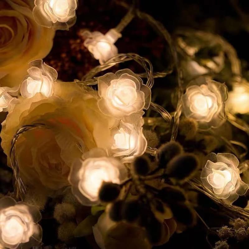 Star String Lights, Dreamy Fairy Lights, Trendy Decorative Lights for Dormitory Bedroom, Twinkle Lights, Ambient Lighting Factory