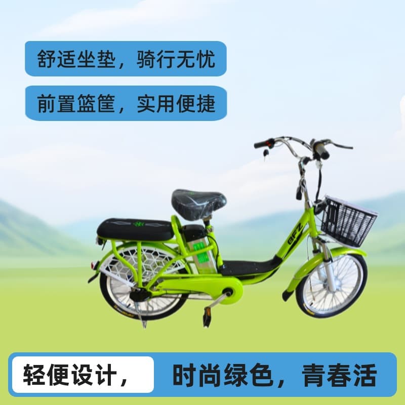 Cross-border Lithium Battery Electric Bike Motorcycle Ebike