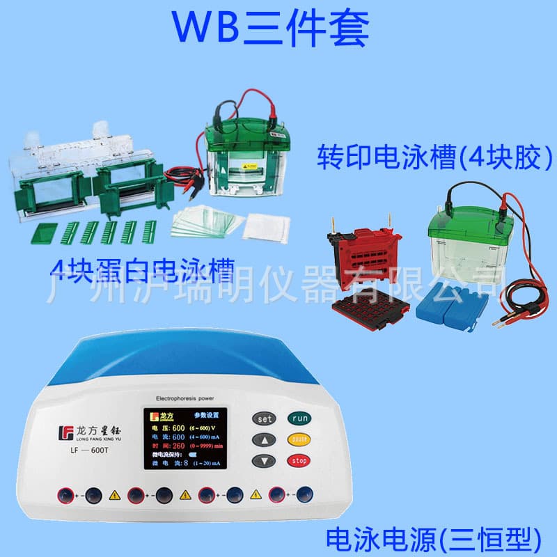 Electrophoresis Apparatus Transfer Tank Three-Piece Set LF-600T+Mini4+ZY04 Laboratory Electrophoresis Equipment Longfang Xingyu