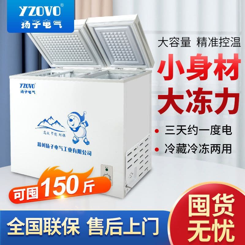 Two-Door Freezer for Home and Commercial Use, Large Capacity Energy-Saving Compact Freezer with Free Shipping