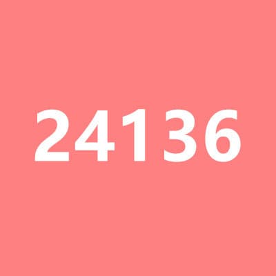 24136 Hoodie