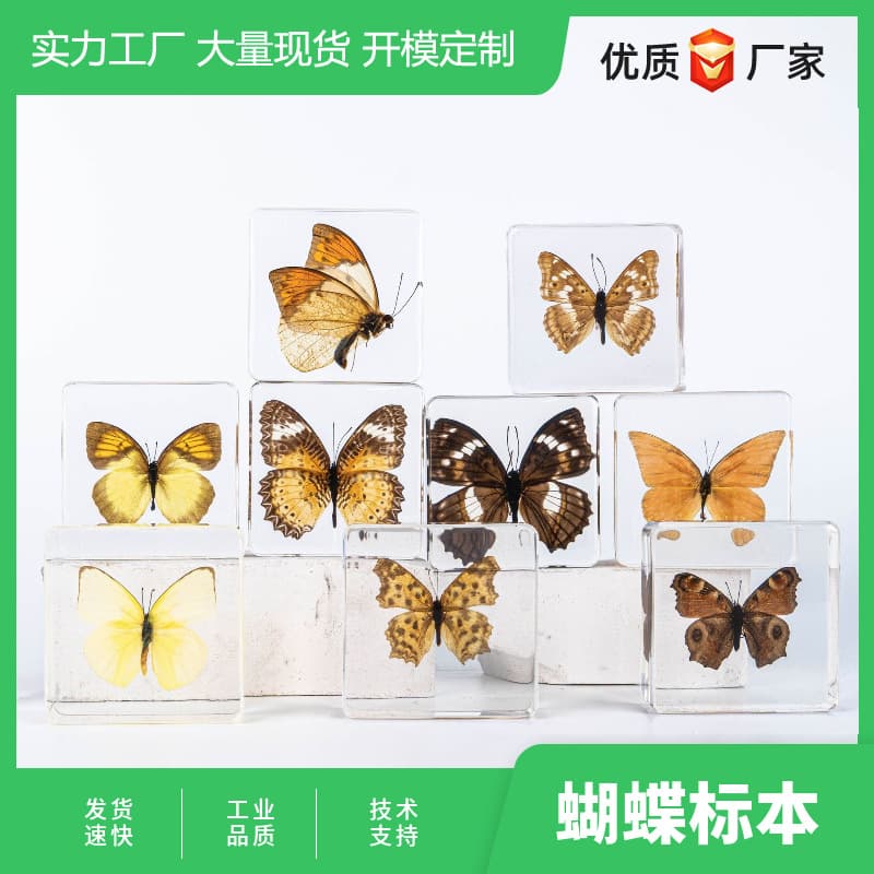 Market Stall Scenic Spot Hot Selling Insect Amber Specimen Butterfly Specimen Crafts Travel Souvenir Creative Ornaments
