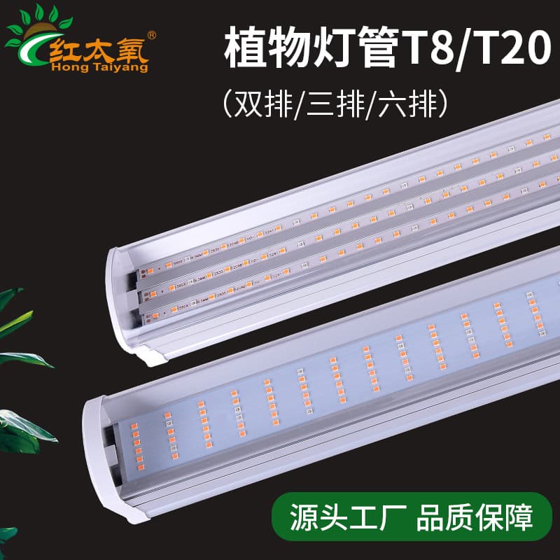 Full Spectrum T8/T20 LED Plant Light Tube with Triple-Row LEDs for Indoor Flower Coloring and Succulent Supplementation