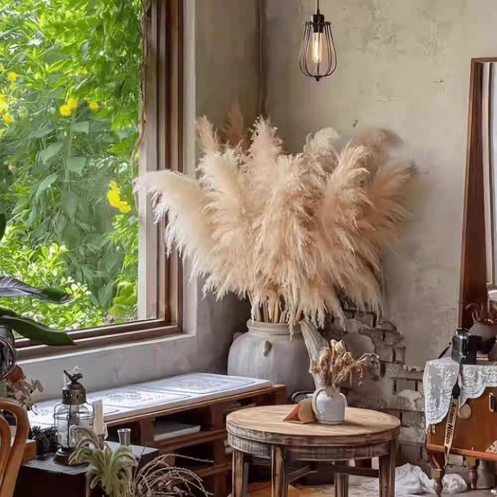 Large Reed Real Flower Dried Flower Wholesale Decoration for Clothing Store Window Wedding Pampas Amazon Temu Shein Cross-Border