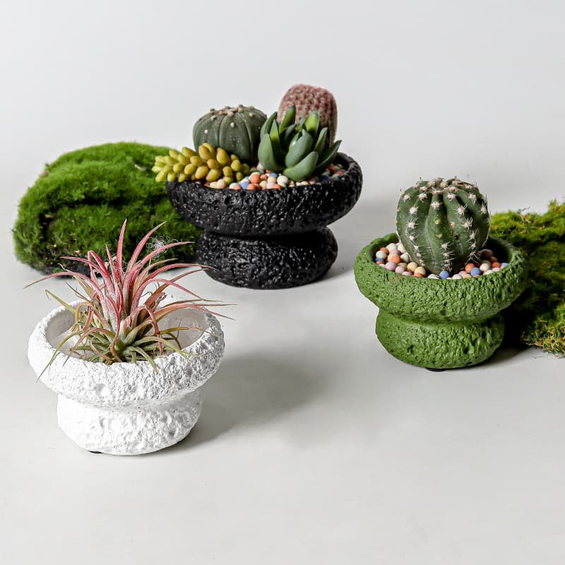Red Elf Bromeliad Fun Bonsai Moss Ball Tray Planter for Living Room Office Desktop Succulent Cactus Potted Plant