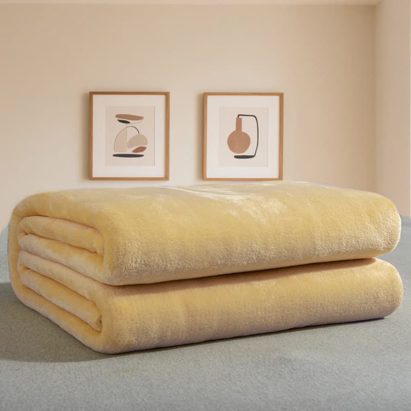 Solid color flannel blanket foreign trade gift blanket autumn and winter plus velvet warm sheets office lunch blanket air conditioning blanket