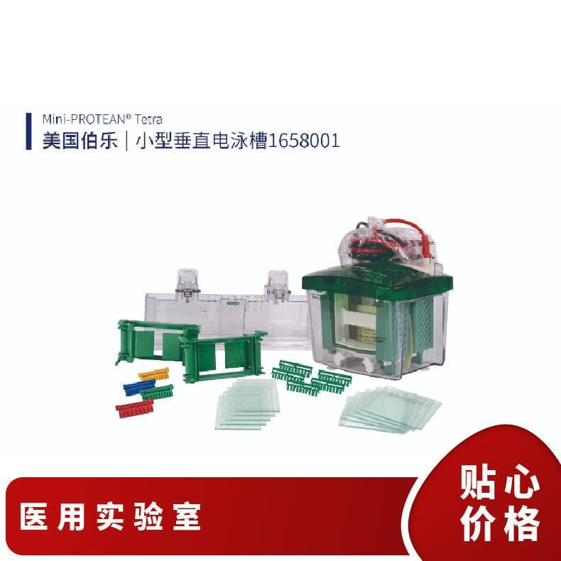Bio-Rad 1703930 Protein Transfer Electrophoresis Tank, quantity 99, white and green, for research labs and universities in Singapore