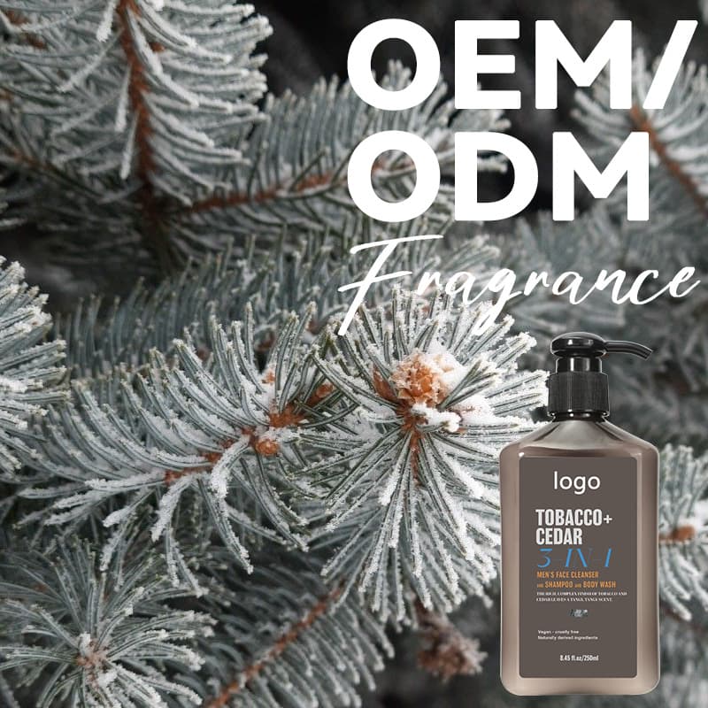 Cross-border Custom Men's 3-in-1 Face, Body, and Hair Wash Bottle Cleansing Moisturizing Body Care Skincare OEM
