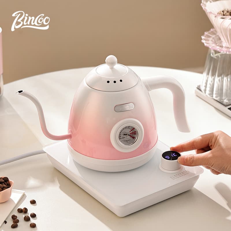 Bincoo Pour-Over Coffee Kettle Set: Home Manual Coffee Grinder, Temperature Control Kettle, Filter, Sharing Carafe, Smart Temperature Control