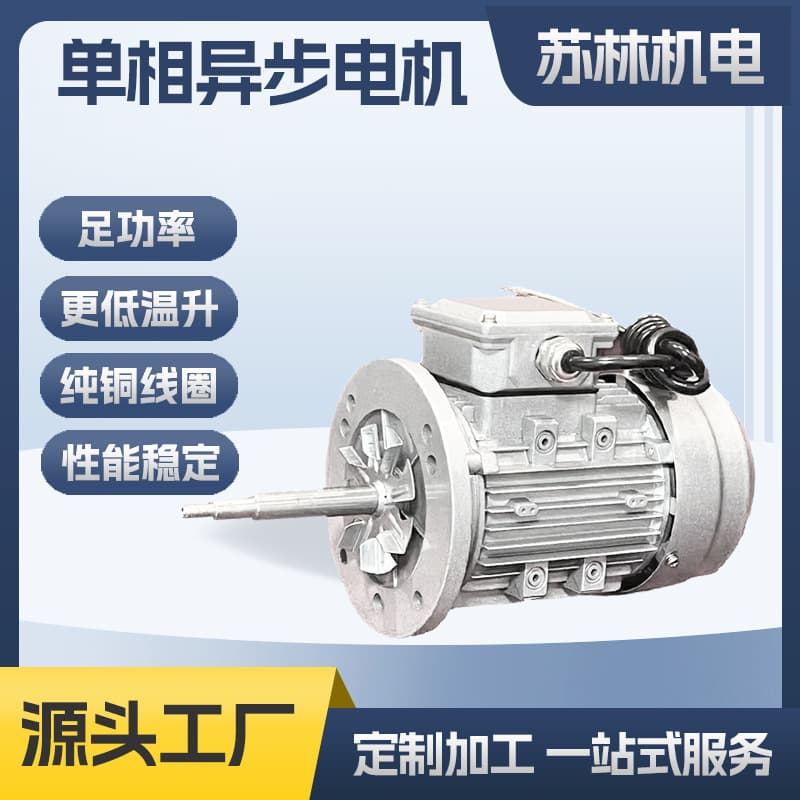 Dingyi Single-Phase Motor 220V Long Shaft Motor YY6312 Vacuum Pump Motor Custom Single-Phase Motor Factory Wholesale
