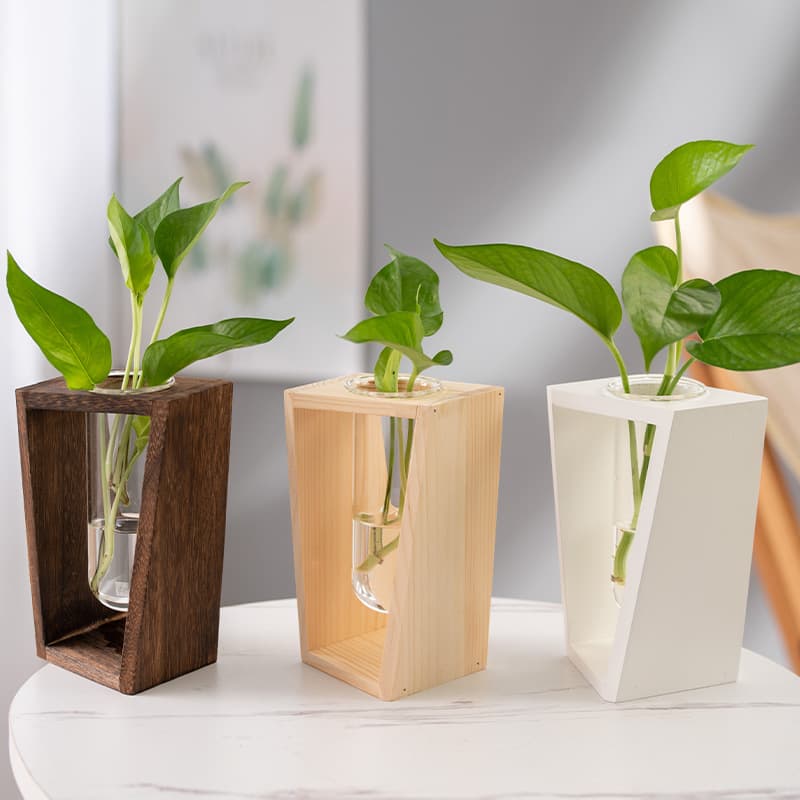 Simple Nordic Hydroponic Green Plant Vase Test Tube Wooden Stand Water-Cultured Flower Arrangement Wooden Desktop Glass Long Twist Style