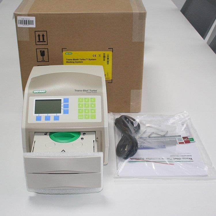 BioRad Trans-Blot Turbo Rapid Protein Blotting 1704150 Singapore Lainai Others