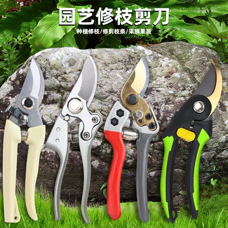 Sharp SK5 Pruning Shears with Teflon Coating, Rust-Proof, for Thick Branches, Garden Scissors for Tree Pruning and Harvesting Gardening Tool