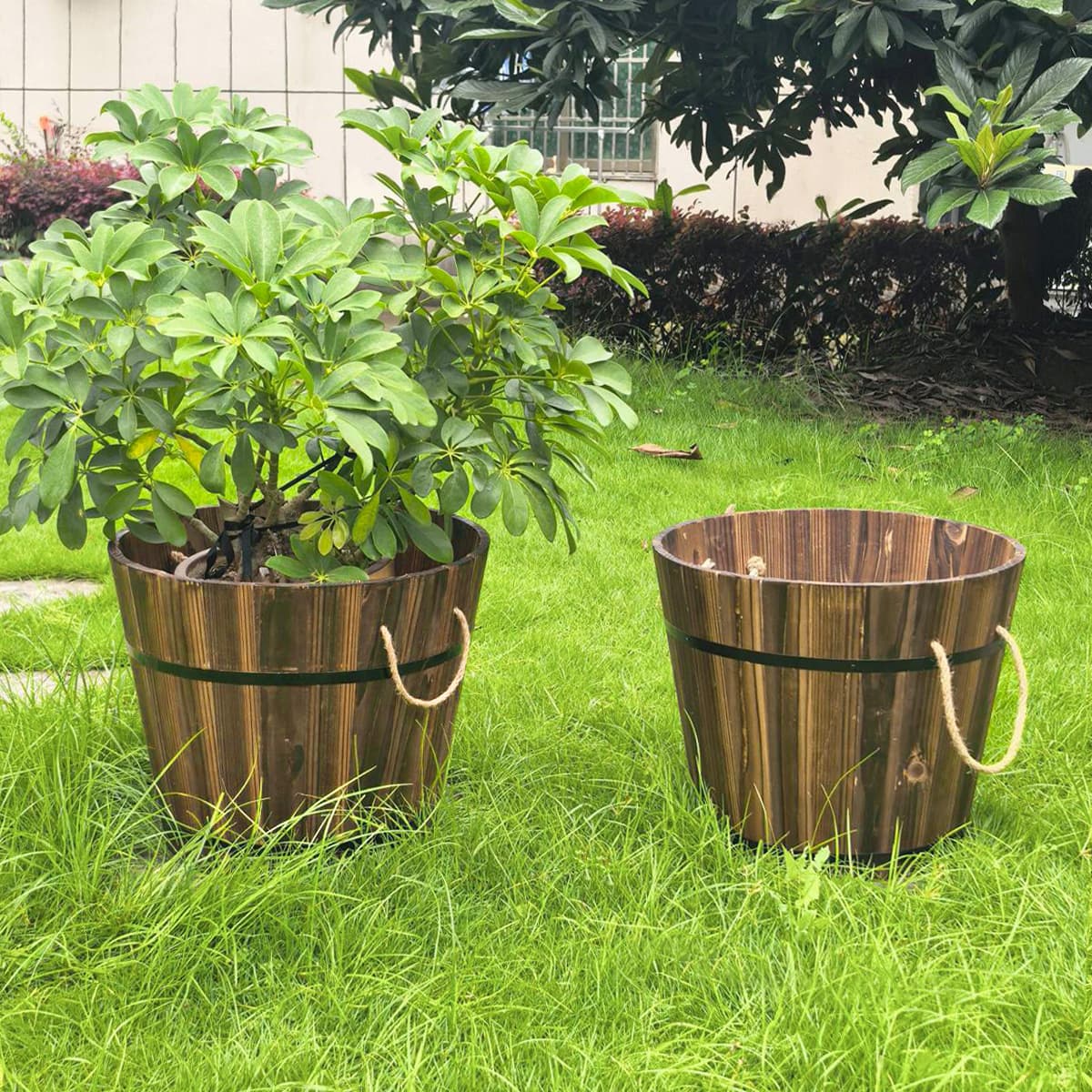 New Cross-Border Anticorrosive Wood Flower Pot for Balcony Garden Courtyard Planting Barrel Wedding Photography Prop Whiskey Barrel