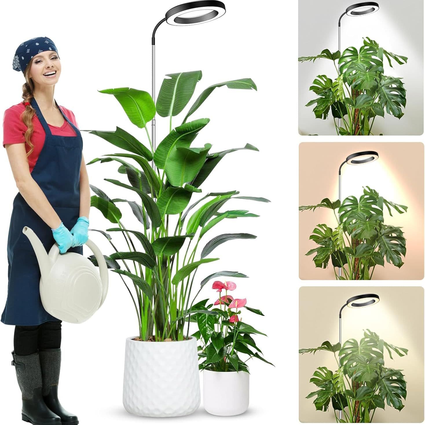 Floor-standing Angel Ring Plant Grow Light with Base, Plant Light for Flowers and Plants, Large Bonsai Landscape Lamp