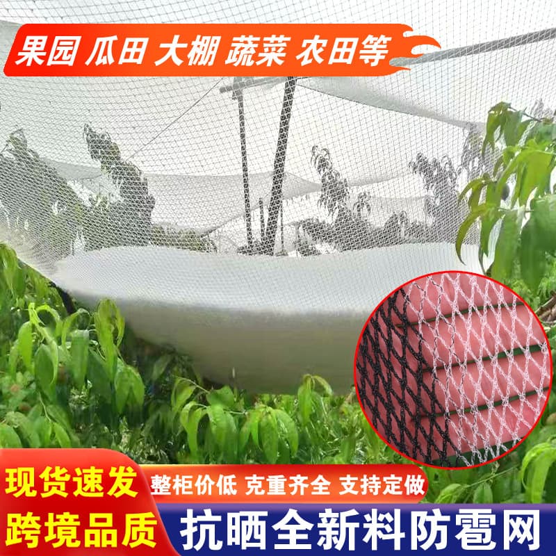 Cross-border Supply of Mountain Orchard Hail Nets, Polyethylene Woven Nets for Fish Ponds and Farm Bird Protection