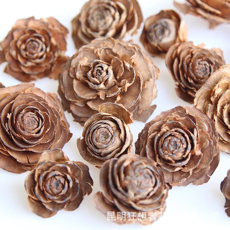 Rhapsody [Imported Wood Rose] Natural Dried Flower Handmade DIY Materials Christmas Pinecone Home Decoration Dried Fruit