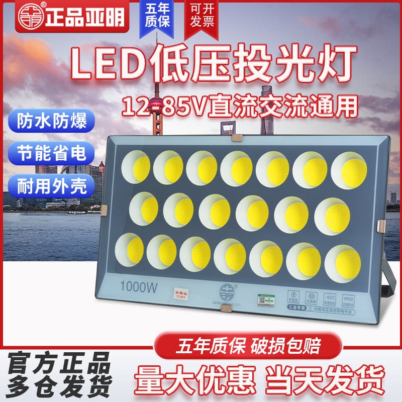 Yaming LED floodlight low voltage marine DC battery 12V24V36V100W battery outdoor waterproof floodlight